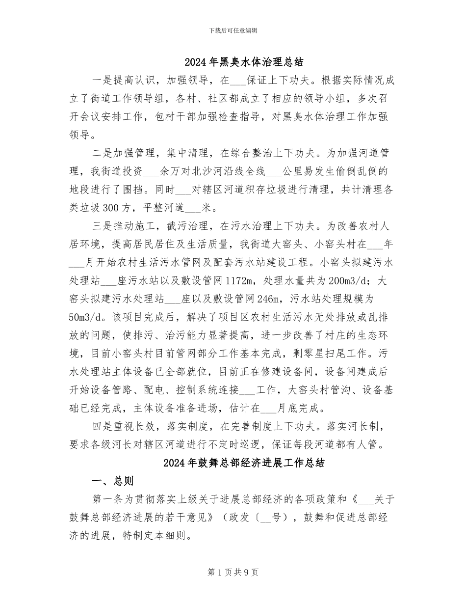 2024年黑臭水体治理总结_第1页