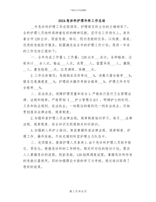 2024急诊科护理年终工作总结