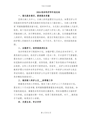 2024急诊科护师年底总结