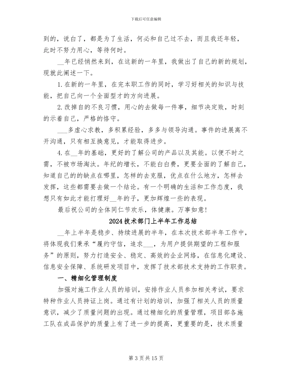 2024技术部年终工作总结_第3页
