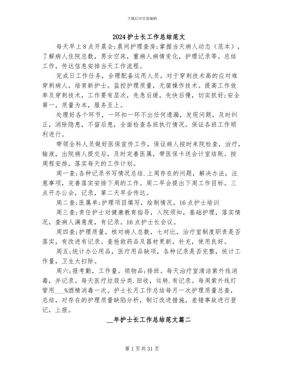 2024护士长工作总结范文_第1页