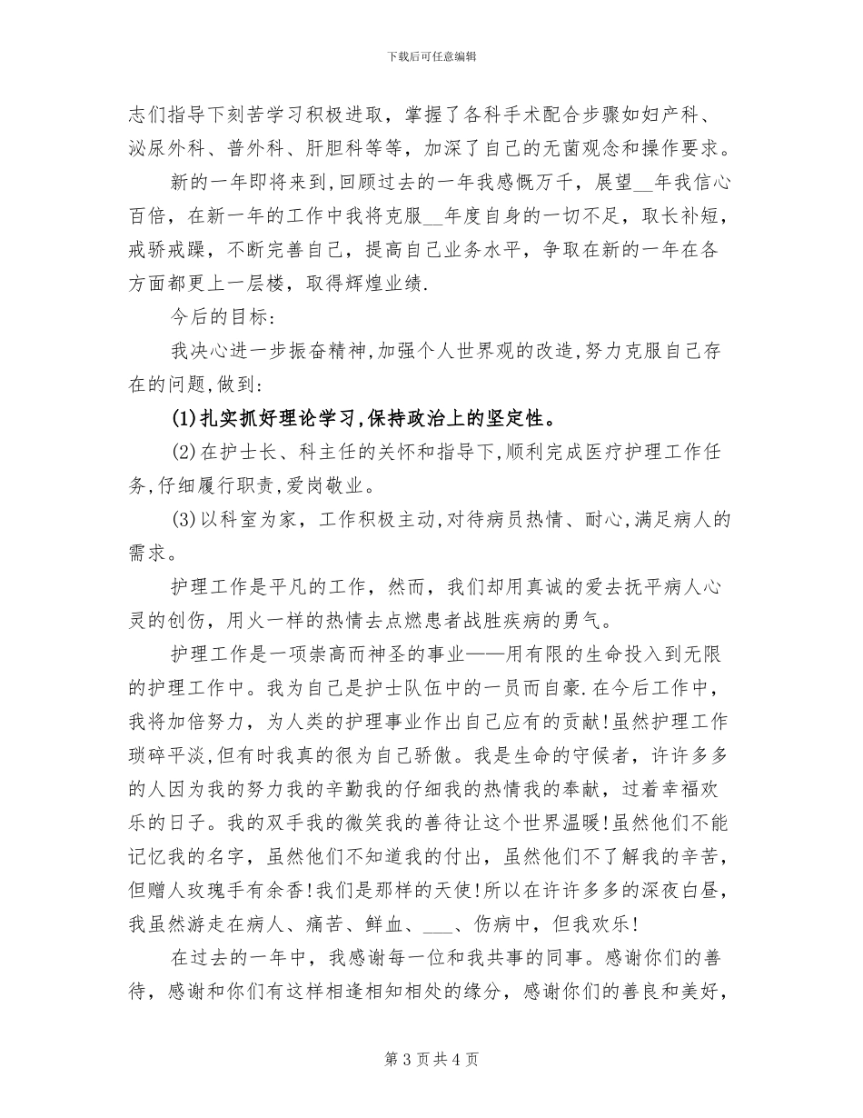 2024护师年终个人总结_第3页