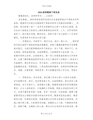 2024挂职锻炼干部总结