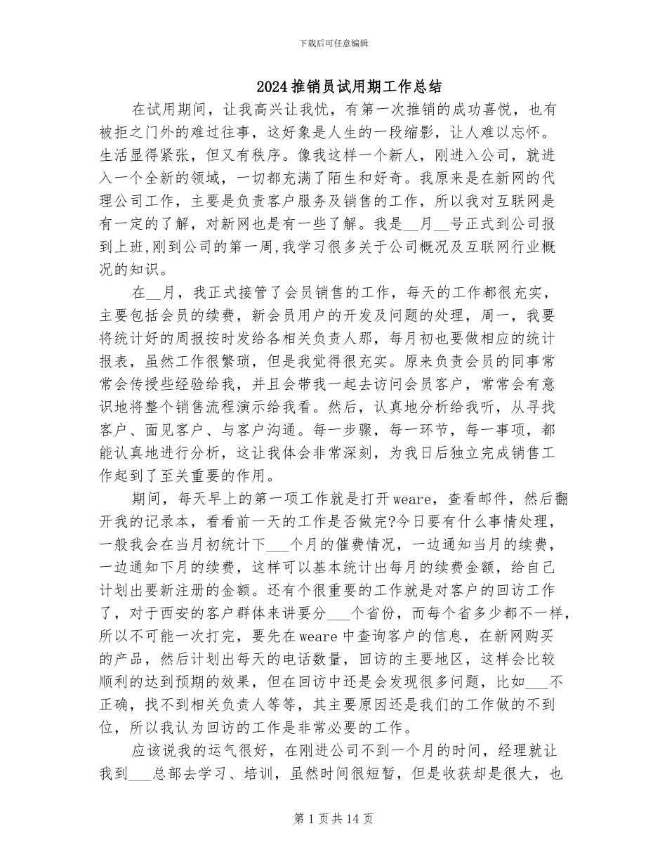 2024推销员试用期工作总结_第1页