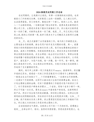 2024推销员试用期工作总结