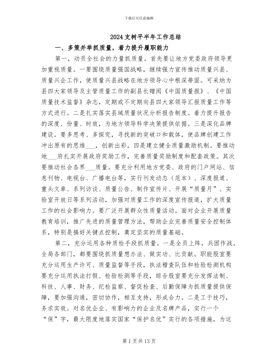 2024支树平半年工作总结_第1页