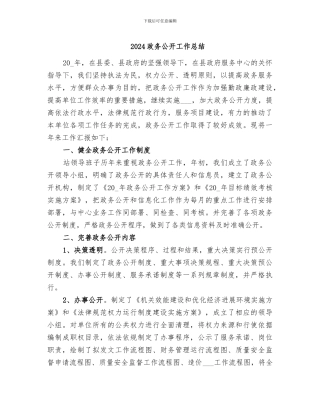 2024政务公开工作总结