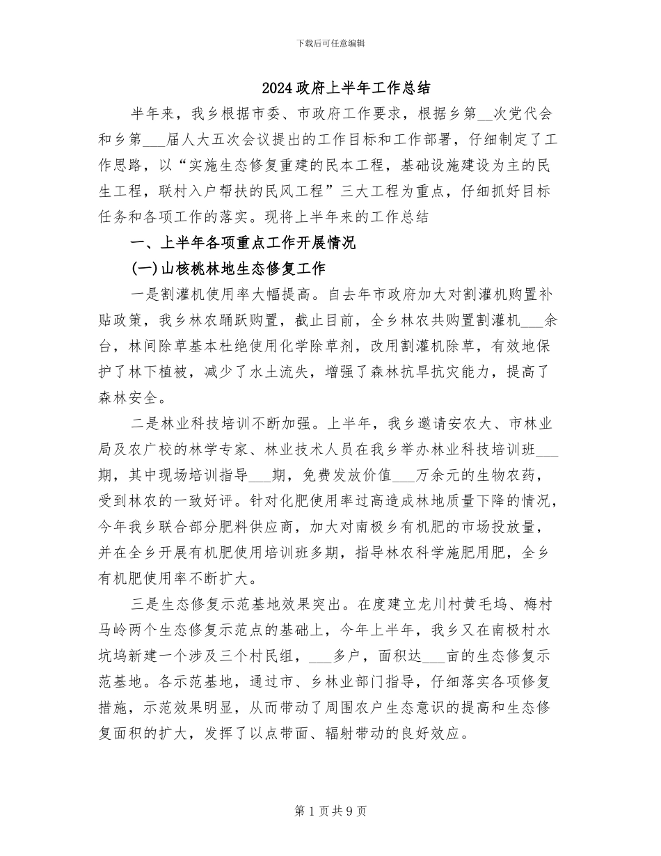 2024政府上半年工作总结_第1页