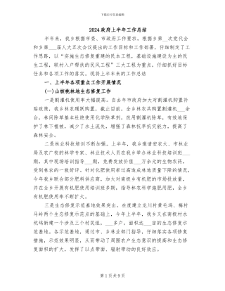 2024政府上半年工作总结