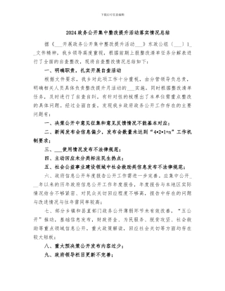 2024政务公开集中整改提升活动落实情况总结