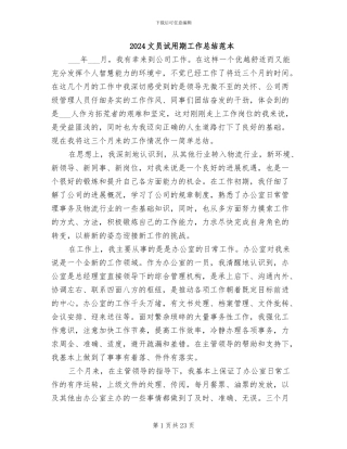 2024文员试用期工作总结范本