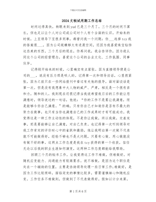 2024文秘试用期工作总结