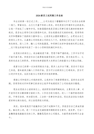 2024新员工试用期工作总结