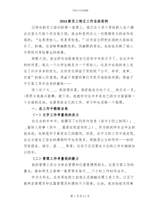 2024新员工转正工作总结范例