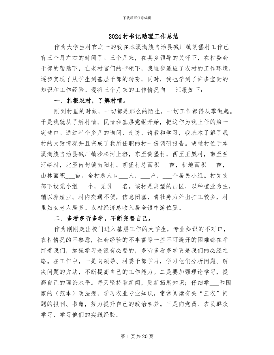 2024村书记助理工作总结_第1页