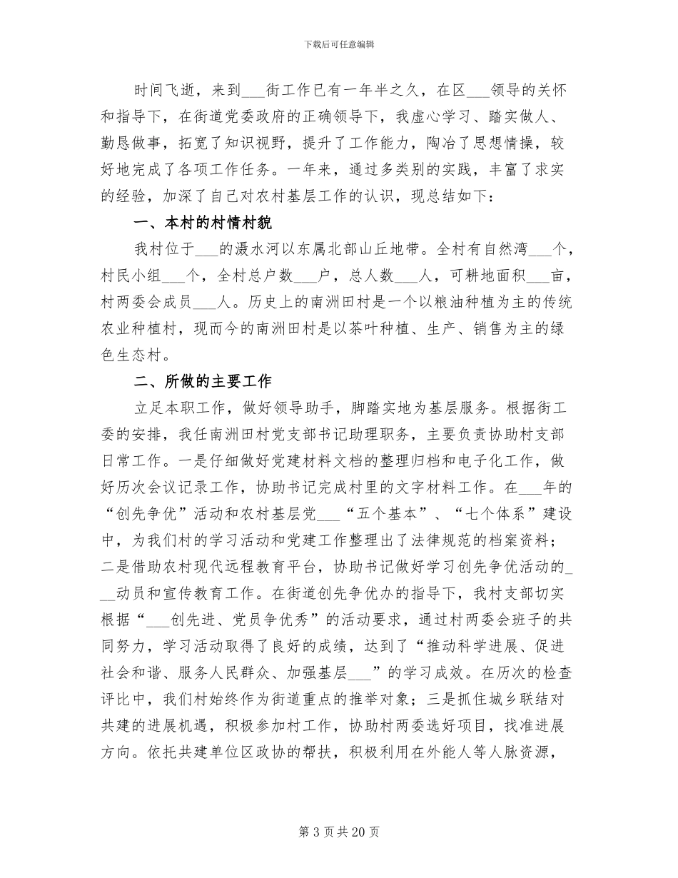 2024村书记助理工作总结_第3页