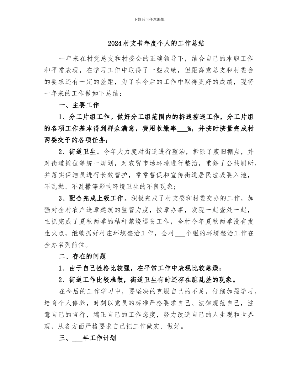 2024村支书年度个人的工作总结_第1页
