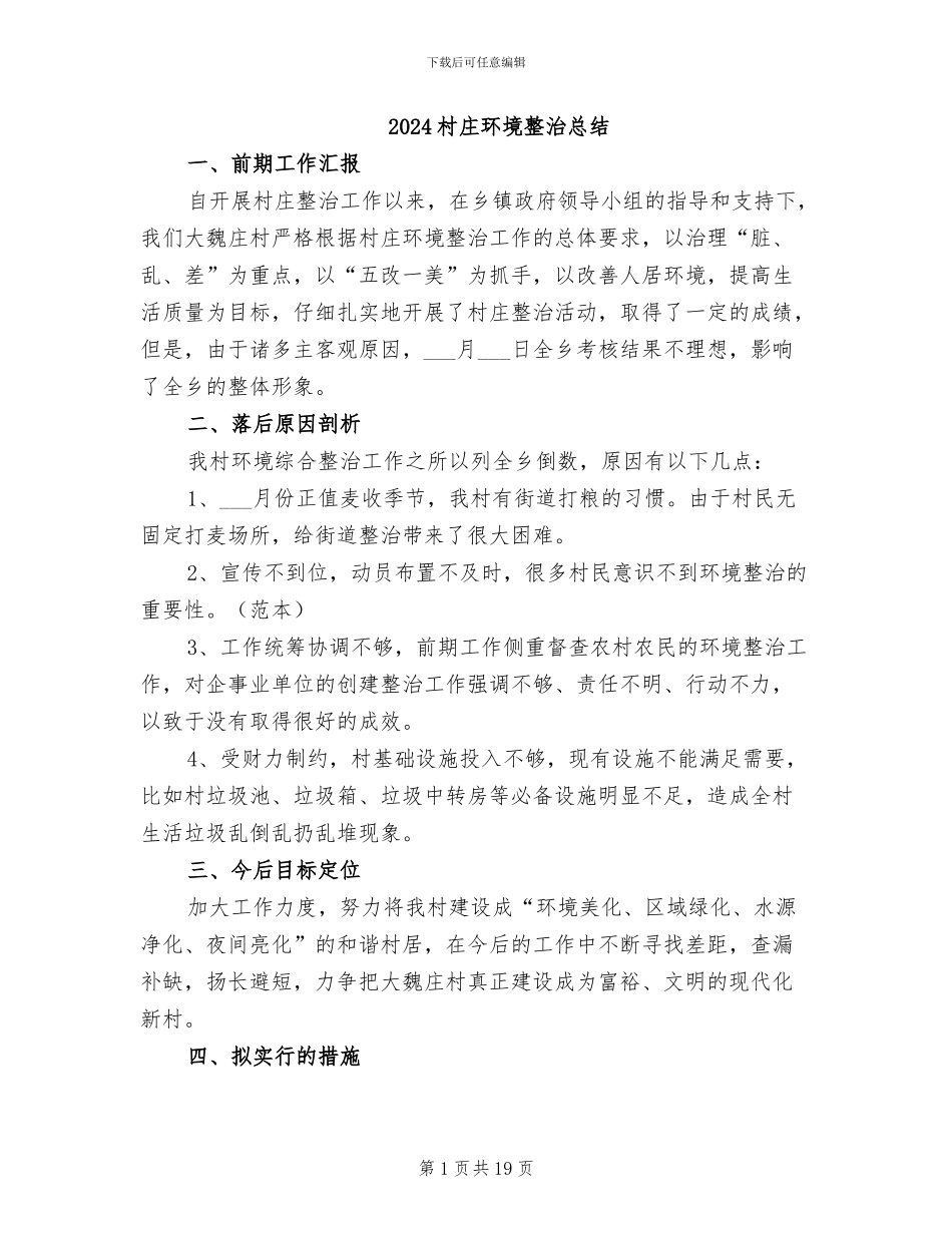 2024村庄环境整治总结_第1页