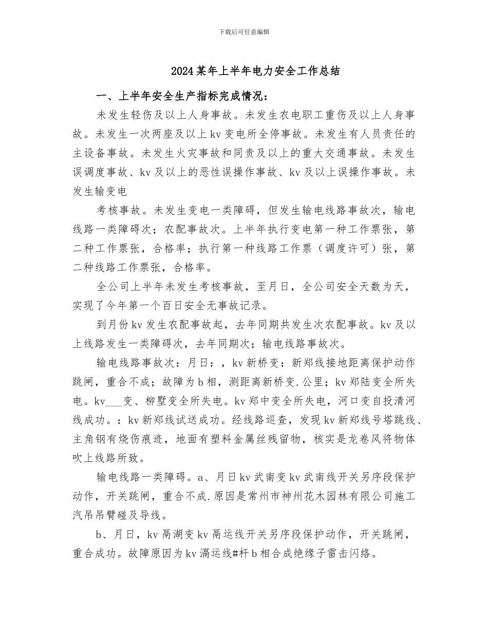 2024某年上半年电力安全工作总结_第1页