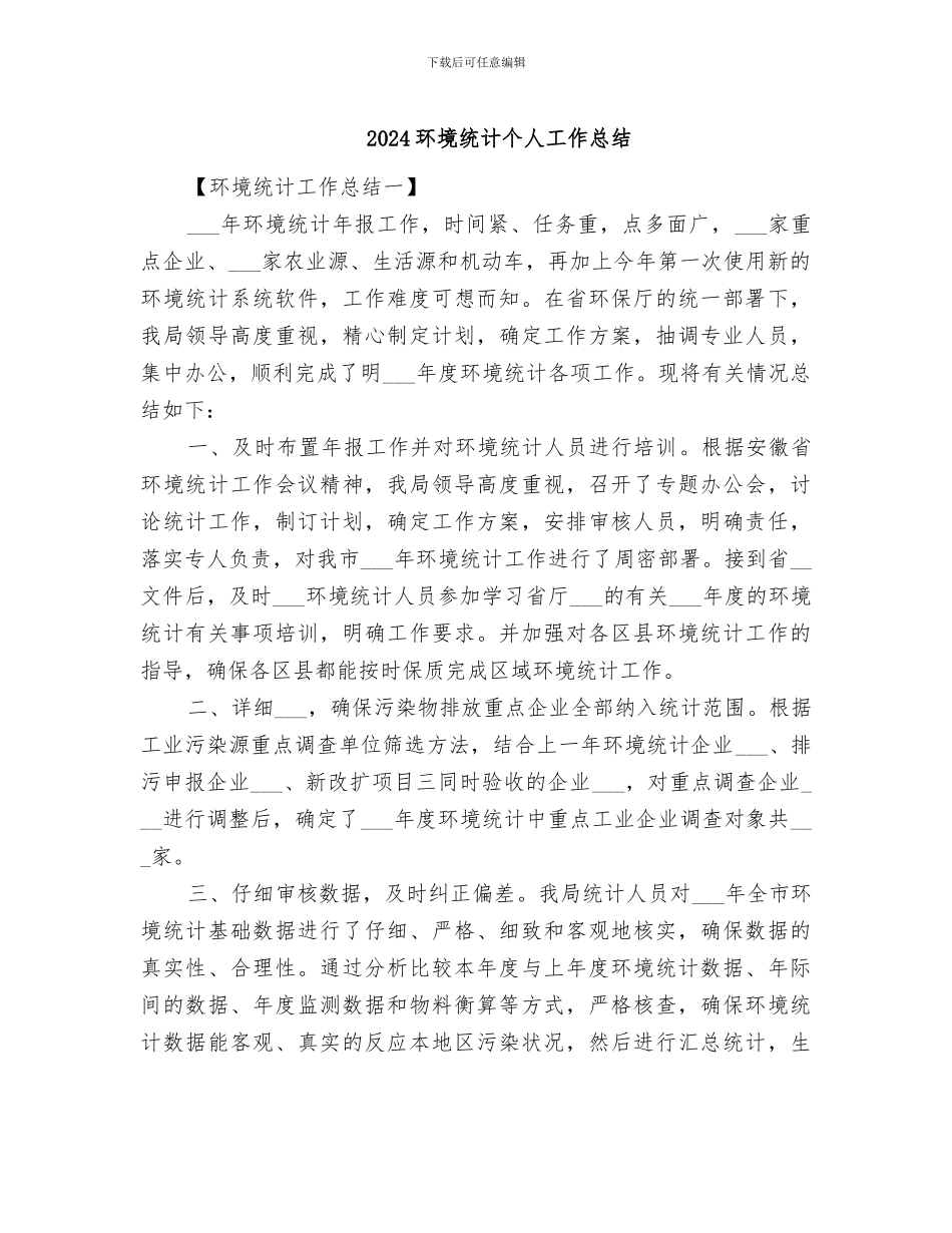 2024环境统计个人工作总结_第1页