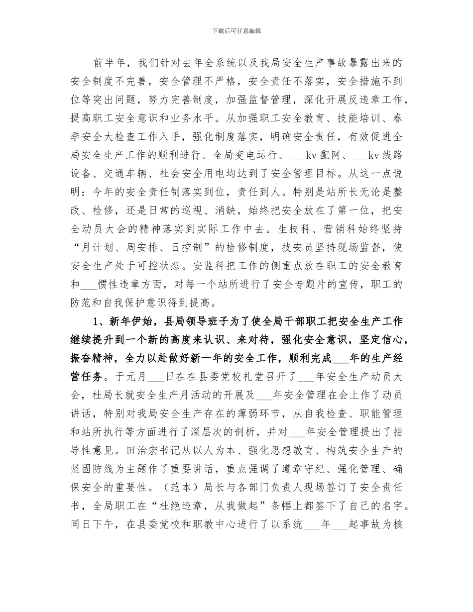 2024电力局上半年工作总结_第2页