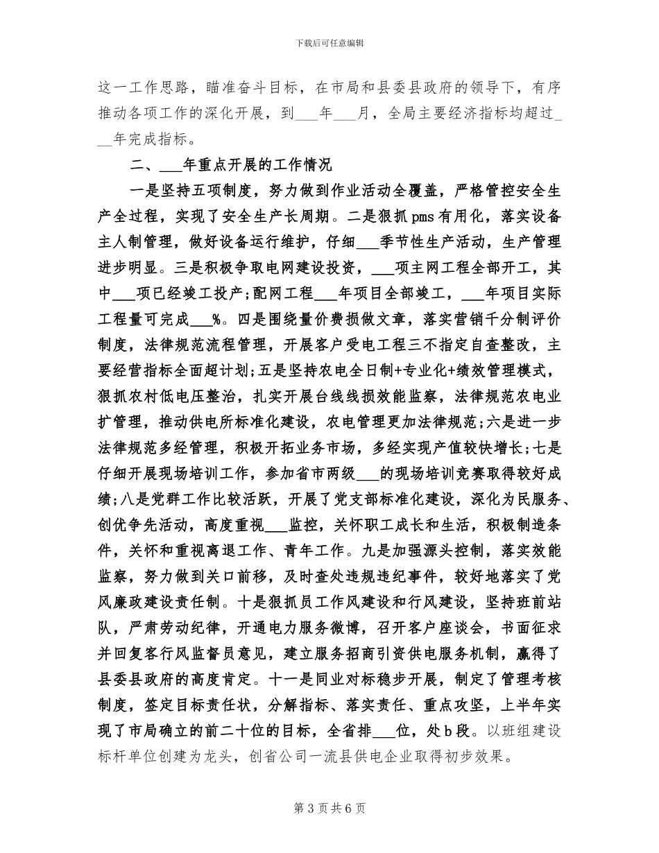2024电力局工作总结_第3页