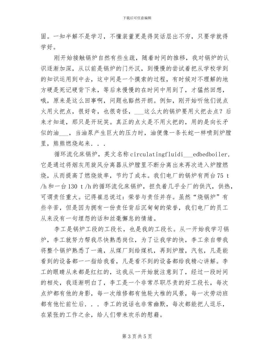 2024电厂个人年终工作总结_第3页