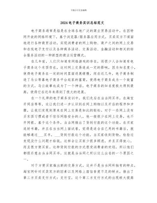 2024电子商务实训总结范文