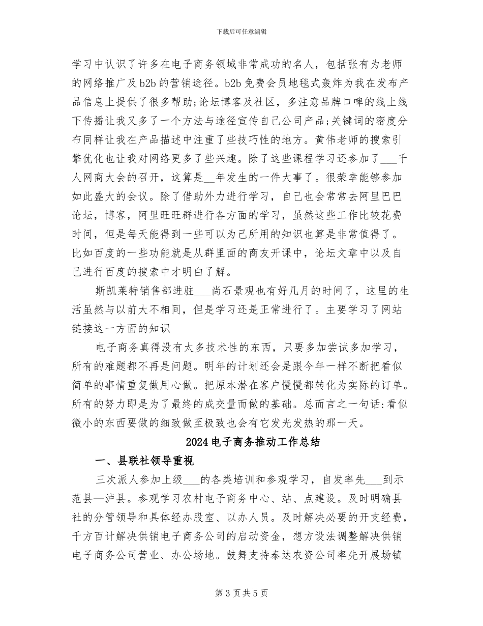 2024电子商务年终总结_第3页