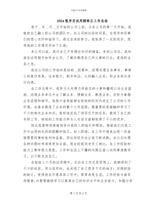 2024程序员试用期转正工作总结