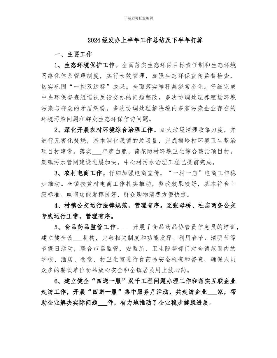 2024经发办上半年工作总结及下半年打算_第1页