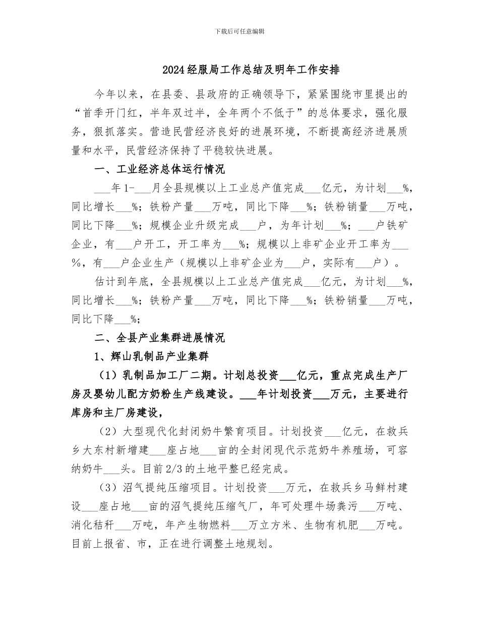 2024经服局工作总结及明年工作安排_第1页