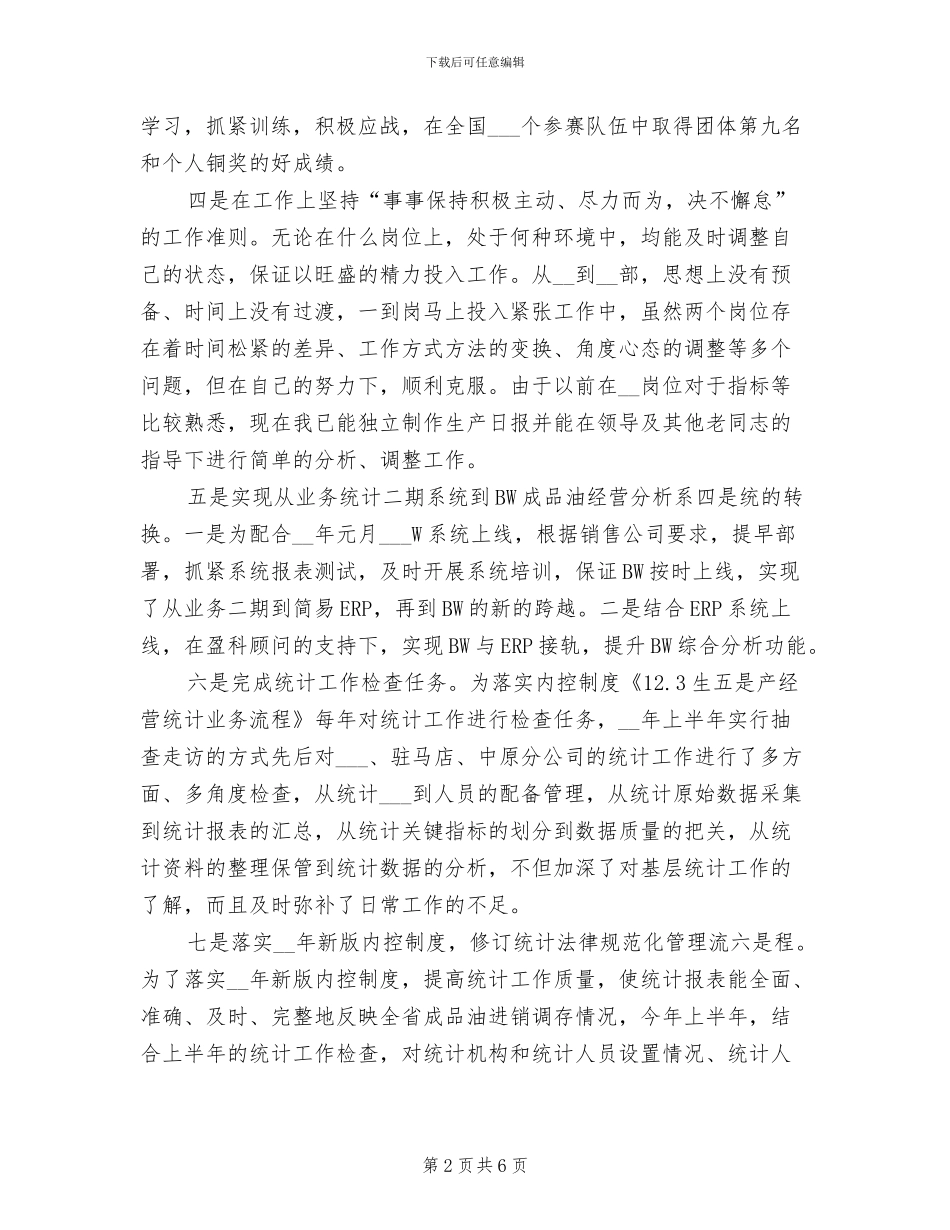 2024统计个人工作总结报告_第2页