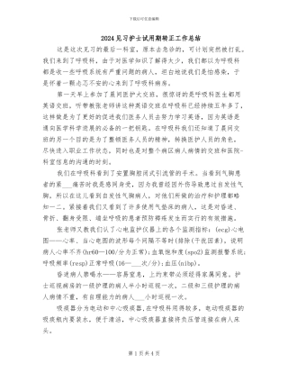 2024见习护士试用期转正工作总结