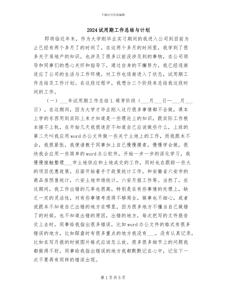2024试用期工作总结与计划_第1页