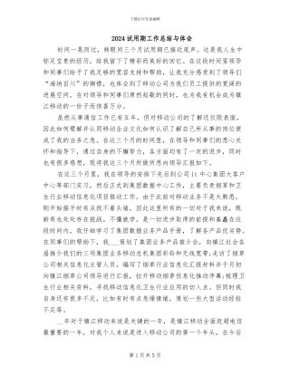 2024试用期工作总结与体会