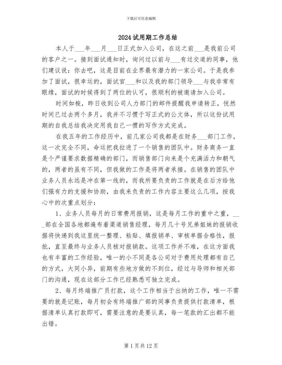 2024试用期工作总结_第1页