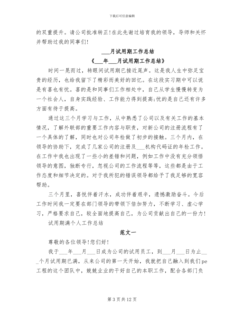 2024试用期工作总结_第3页