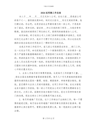 2024试用期工作总结