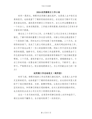 2024试用期转正工作小结