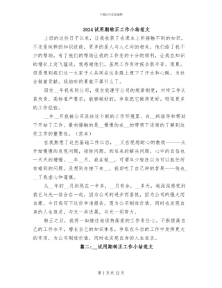 2024试用期转正工作小结范文