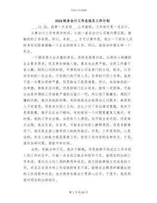 2024财务会计工作总结及工作计划
