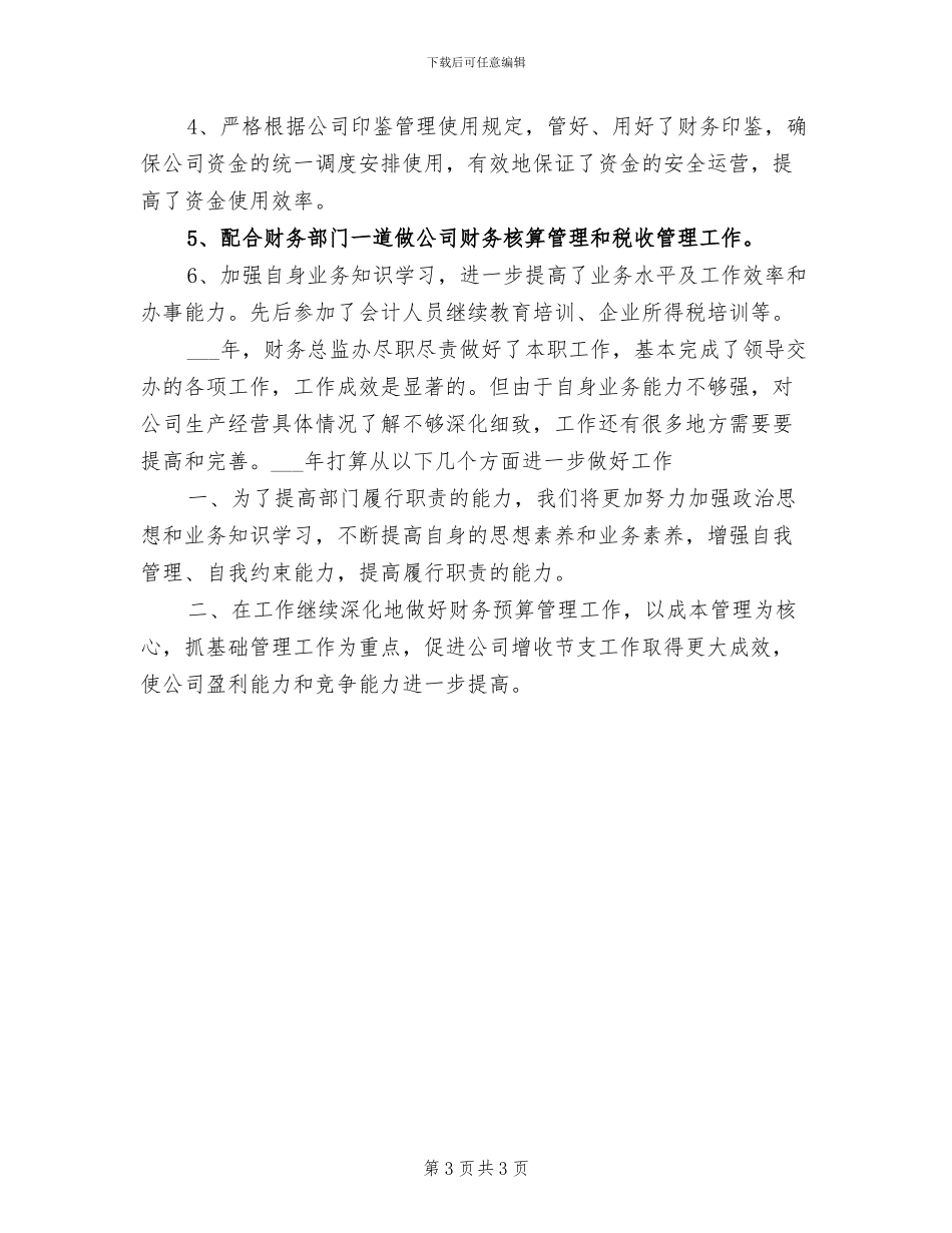 2024财务总监个人总结_第3页