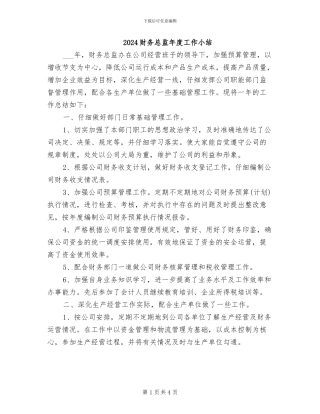 2024财务总监年度工作小结