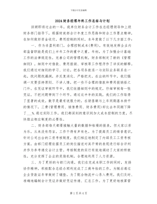 2024财务经理年终工作总结与计划