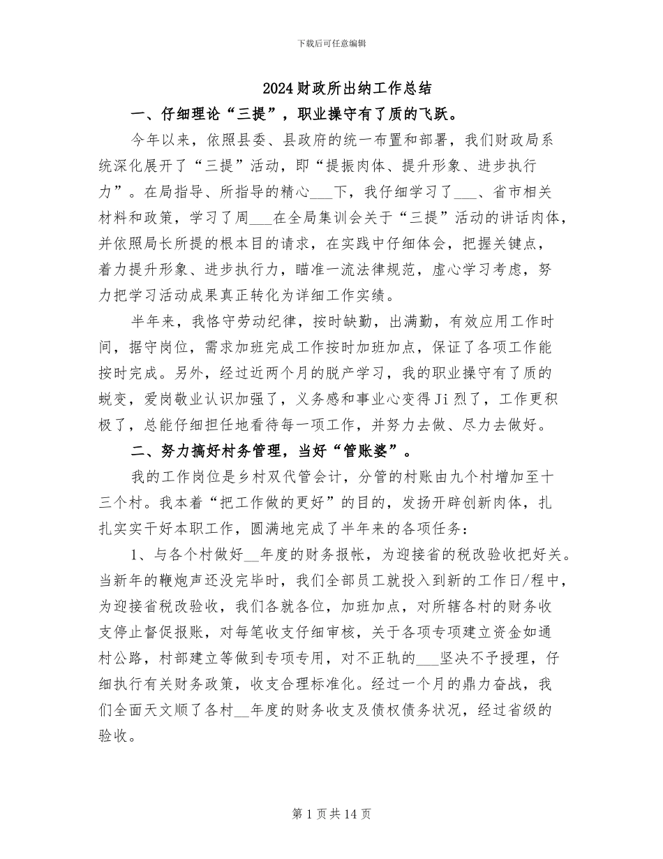2024财政所出纳工作总结_第1页
