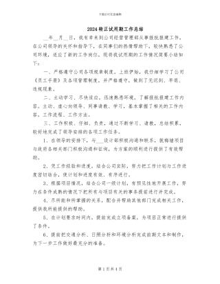 2024转正试用期工作总结