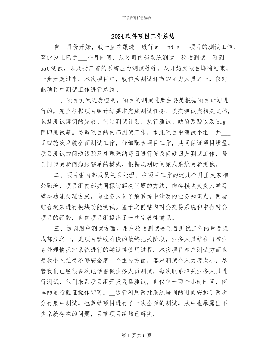 2024软件项目工作总结_第1页