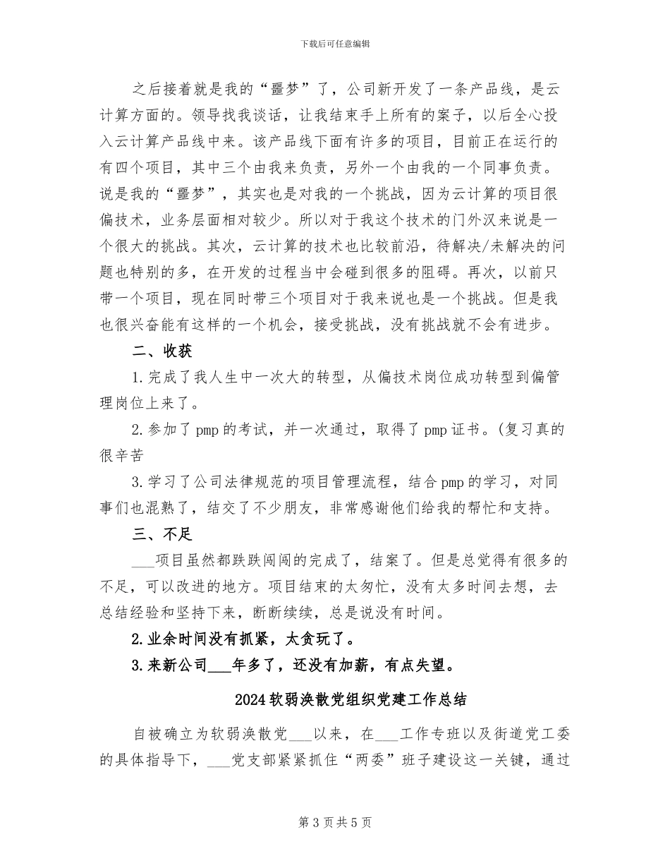 2024软件项目工作总结_第3页