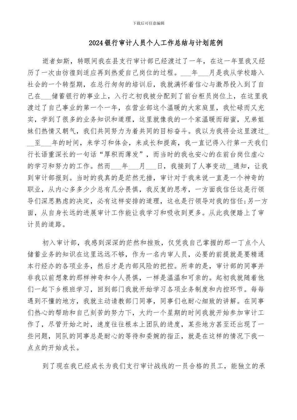 2024银行审计人员个人工作总结与计划范例_第1页